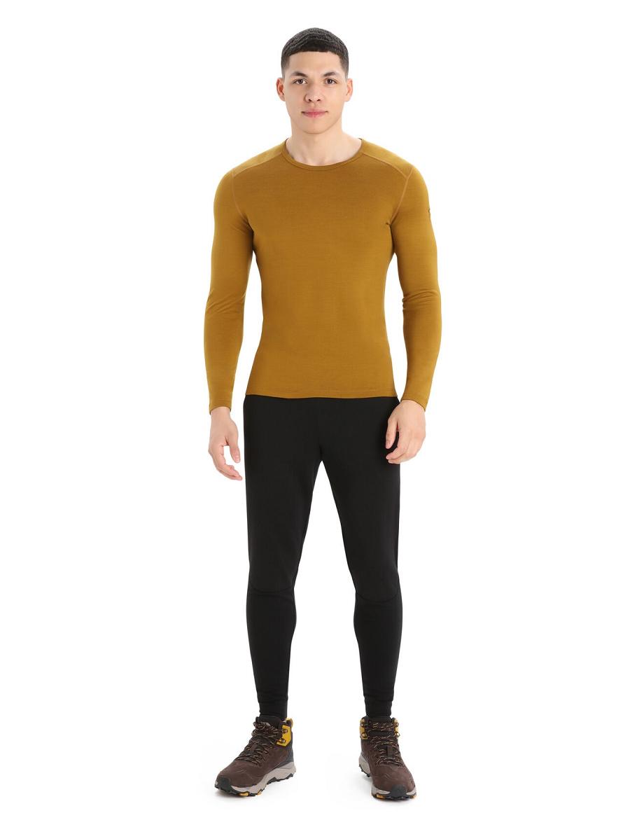 Icebreaker Merino 260 Tech Long Sleeve Crewe Thermal Top Férfi Base Layers Barna | HU 1394MQZA